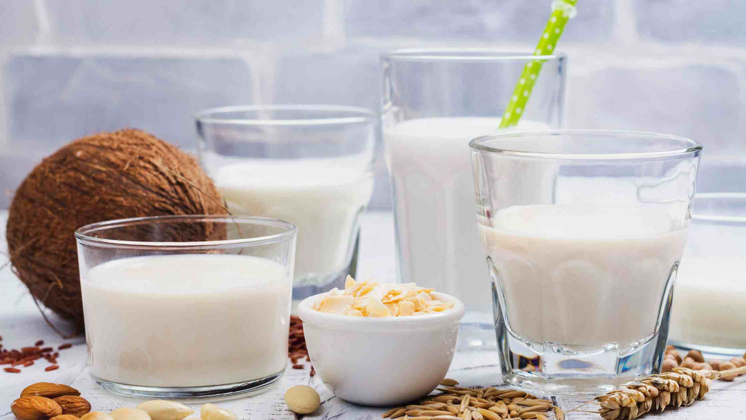 Non-Dairy vs. Dairy-Free: Whatâ€™s the Difference?