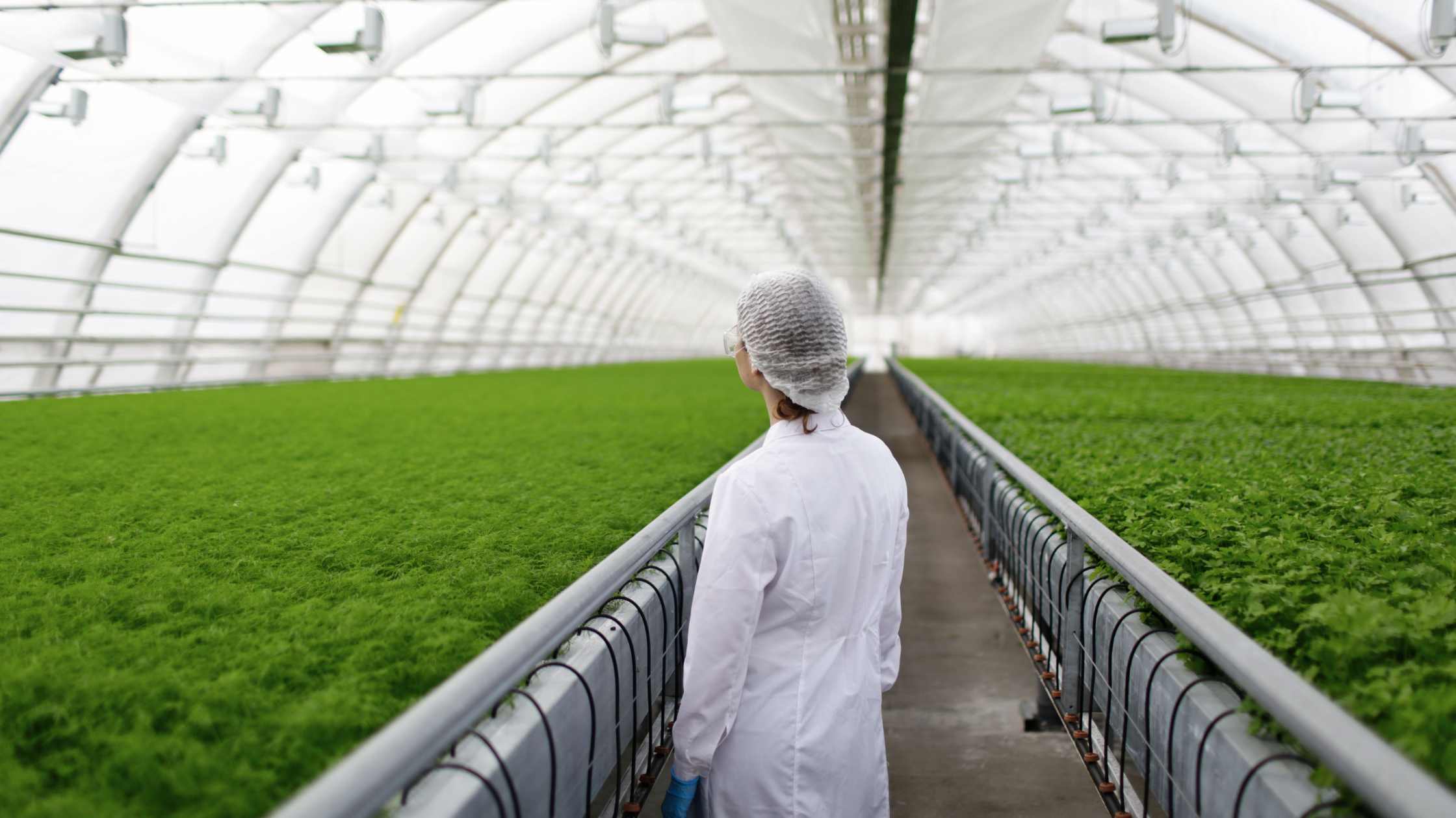 Third Party Testing: Why It Matters